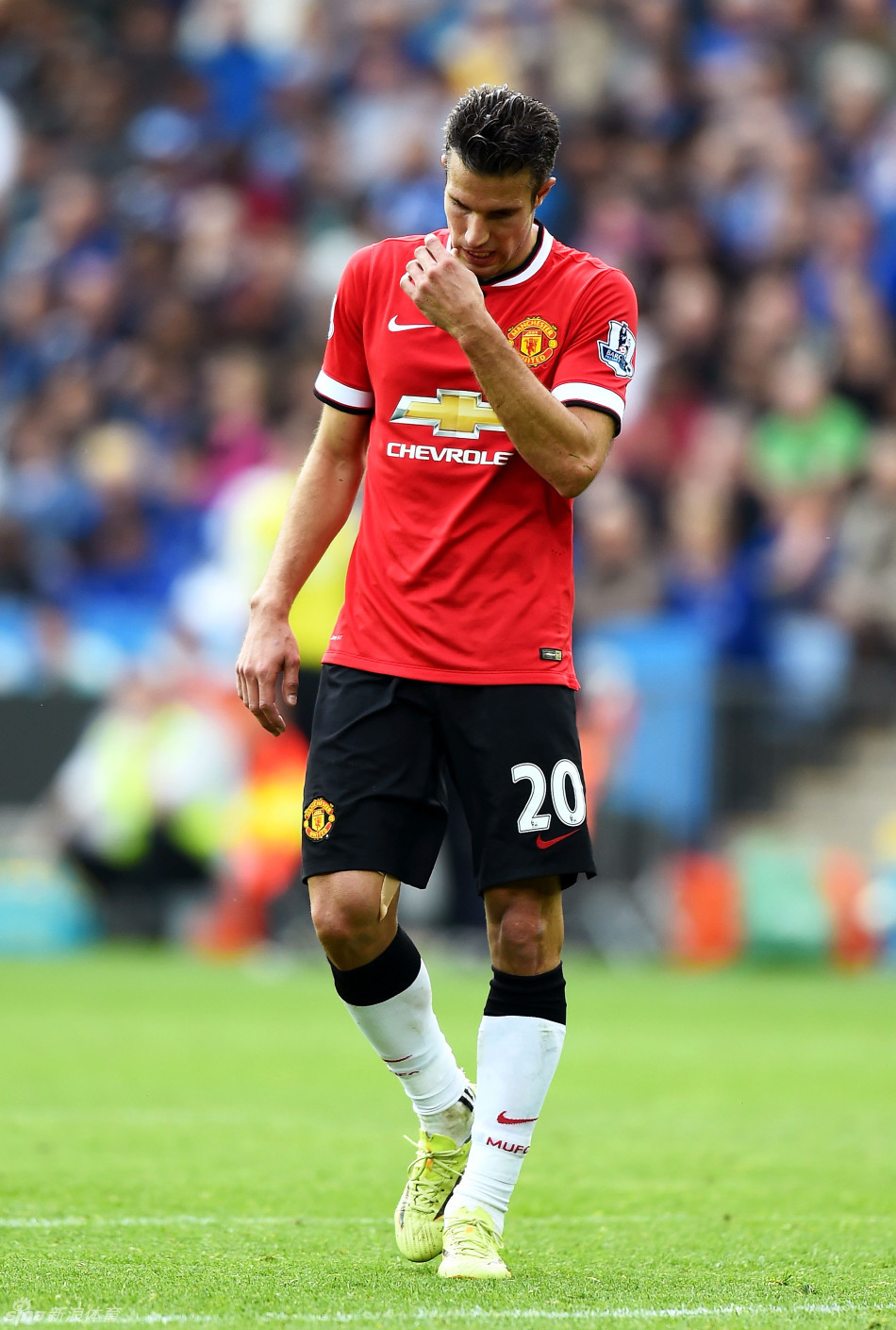 斯普利特：克林根和罗威大概率出战明日对阵勇士的比赛（斯普利特：克林根与罗威预计明日出战勇士）